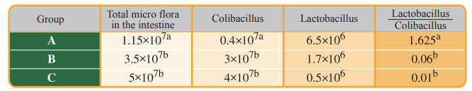 Grafik zu den Mikroorganismen im Dünndarm